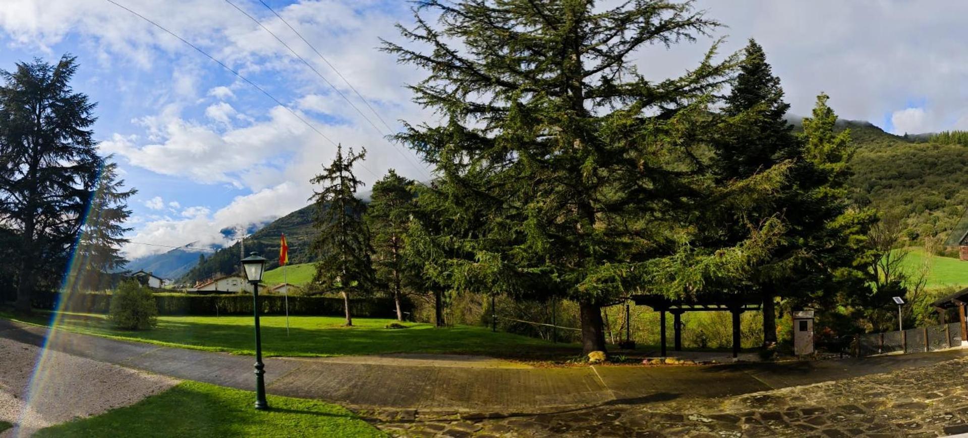 El Nial De Los Pinos Охедо Экстерьер фото