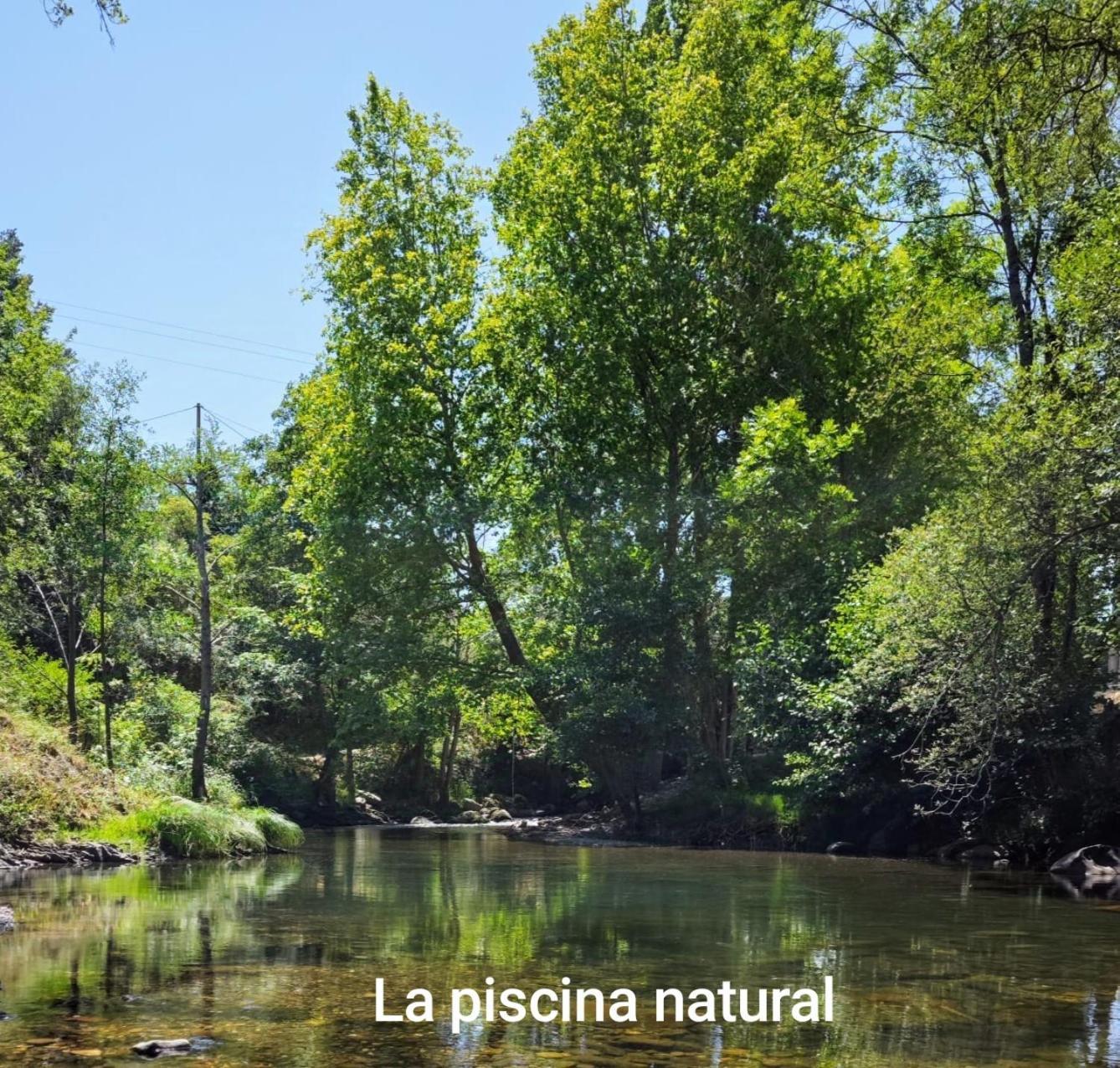 El Nial De Los Pinos Охедо Экстерьер фото